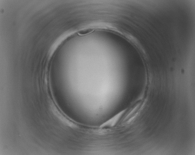 X0000052551288200507011121