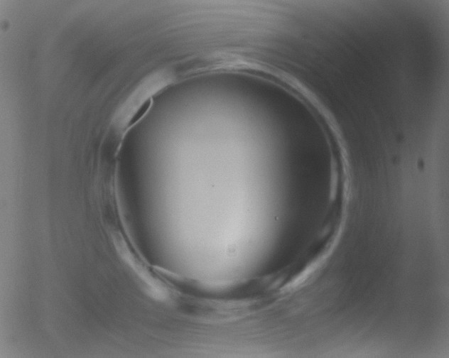 X0000052551289200507011121