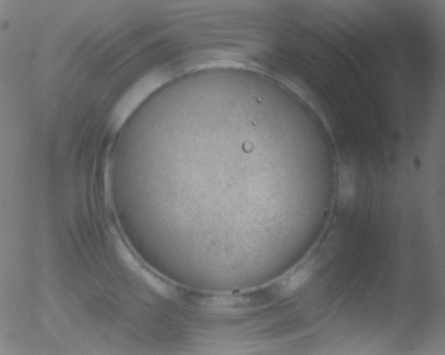 X0000052551290200507011121