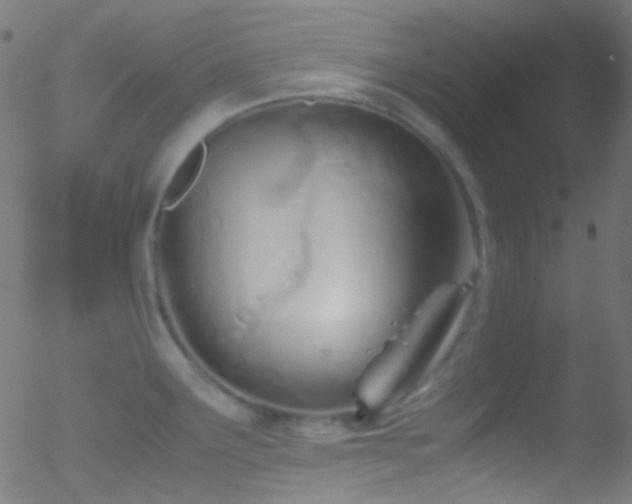 X0000052551291200507011121