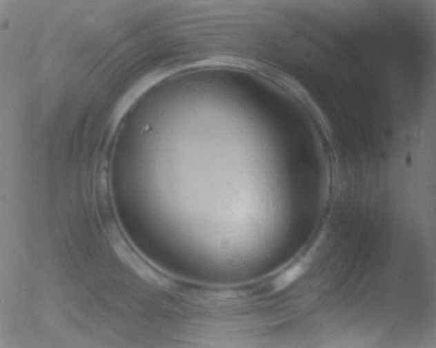 X0000052551292200507011121