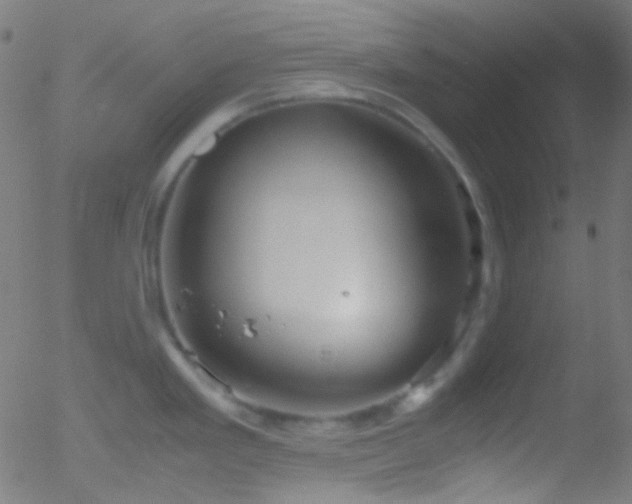 X0000052551293200507011121