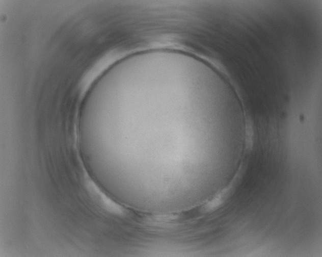 X0000052551294200507011121