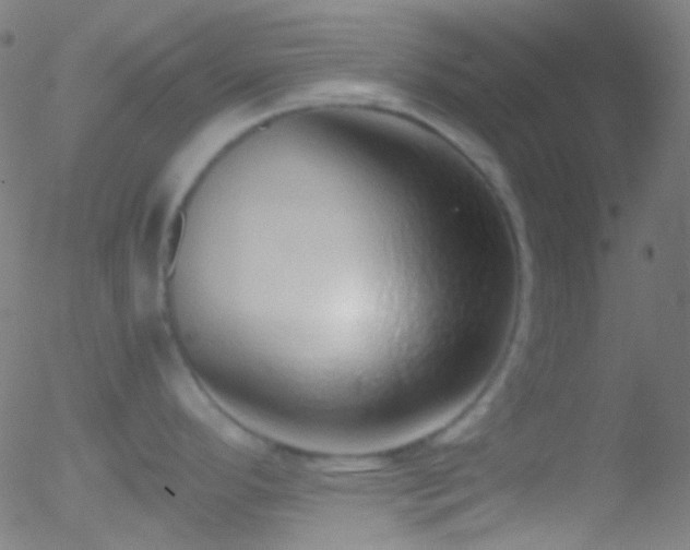 X0000052551296200507011121