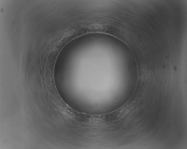 X0000052551297200507011120