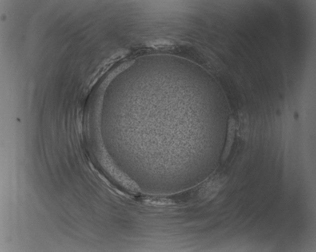 X0000052551298200507011120