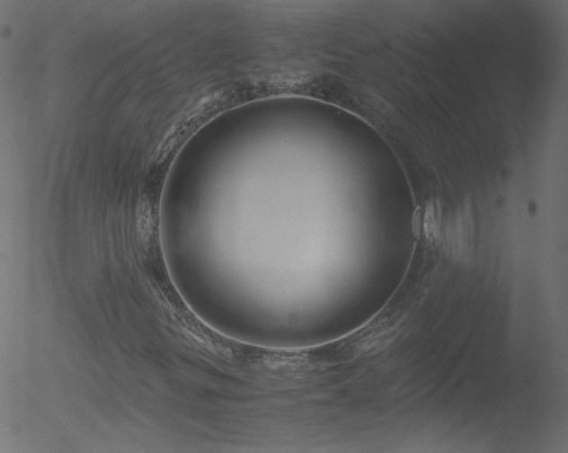 X0000052551299200507011120