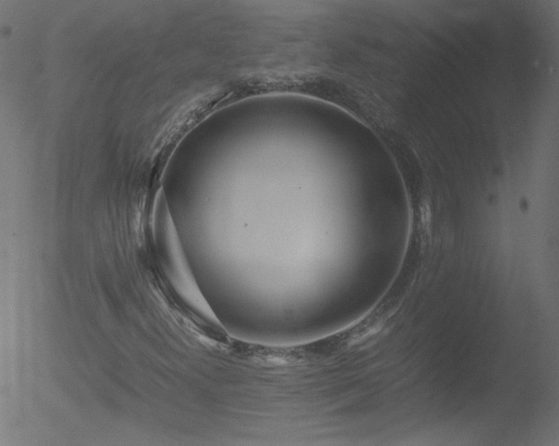 X0000052551300200507011120