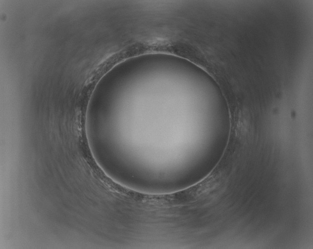 X0000052551301200507011120