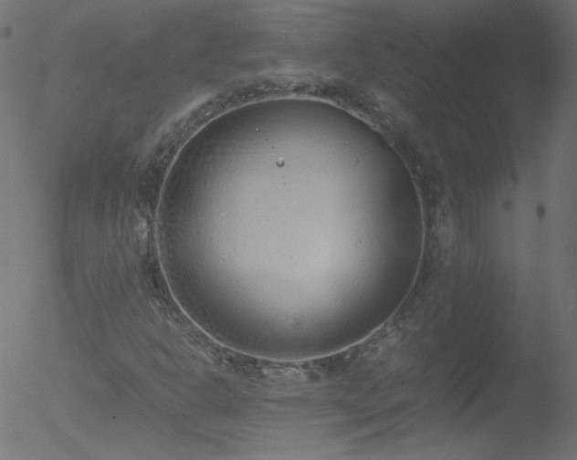 X0000052551302200507011120