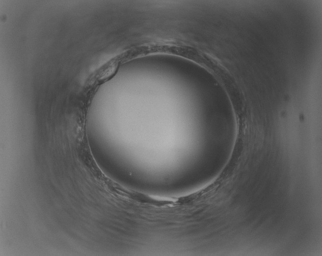 X0000052551303200507011120