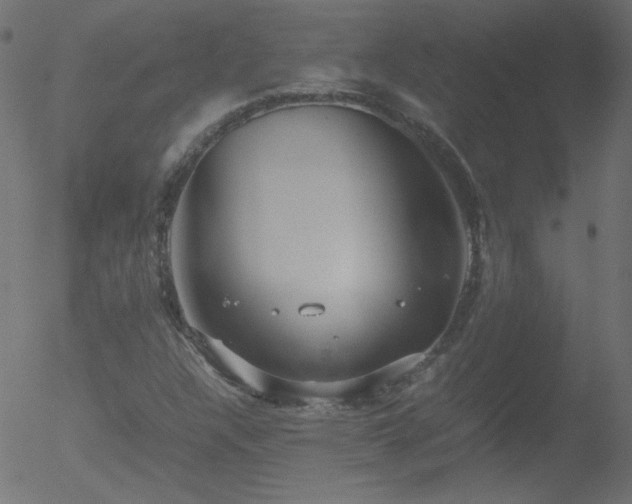 X0000052551304200507011120