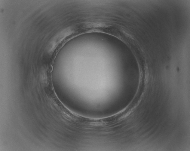 X0000052551305200507011120