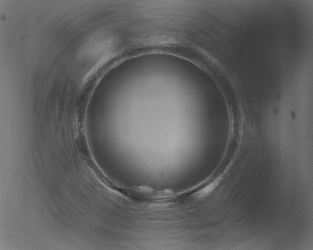 X0000052551306200507011120