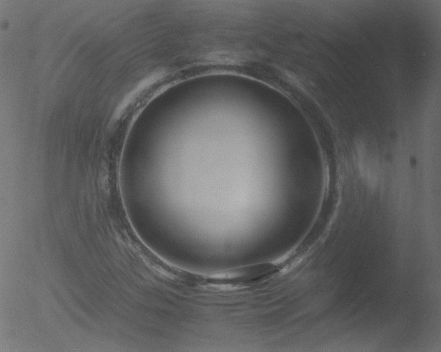 X0000052551307200507011120