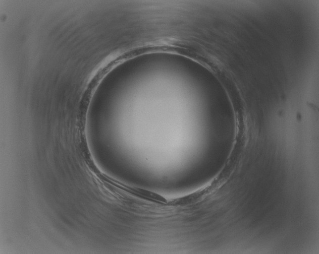 X0000052551308200507011120