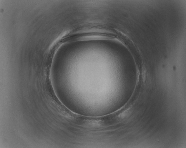 X0000052551309200507011120