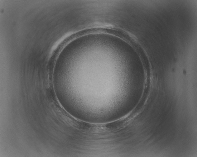 X0000052551310200507011120