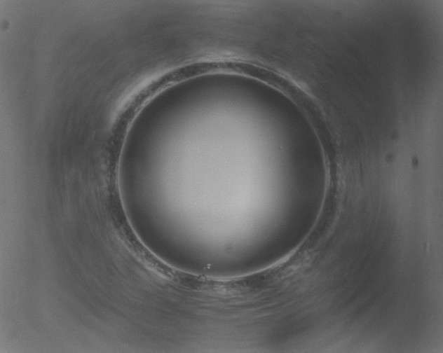 X0000052551311200507011120