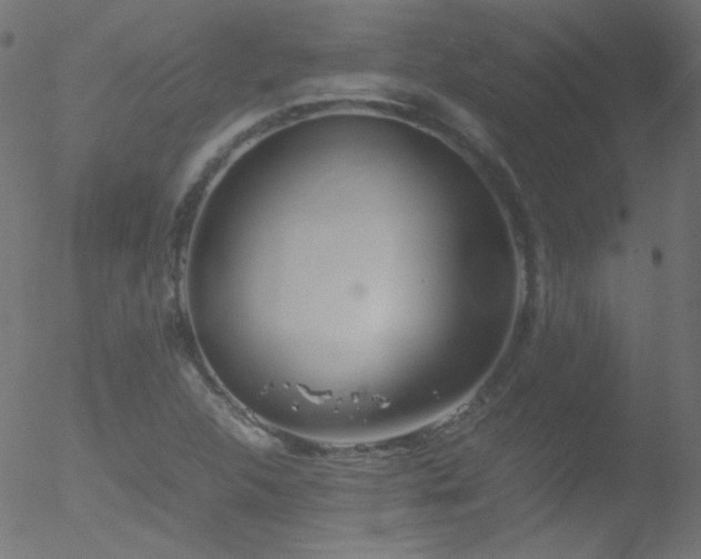 X0000052551312200507011120