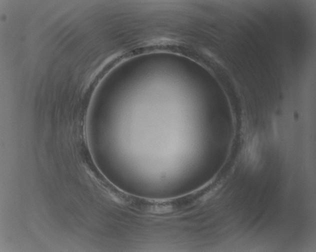 X0000052551313200507011120