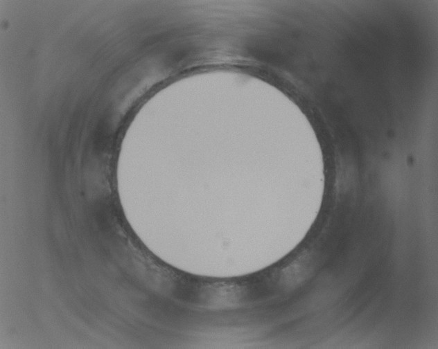 X0000052551314200507011120