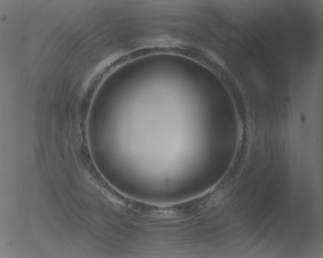 X0000052551315200507011120