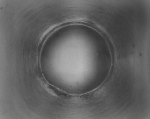 X0000052551316200507011120