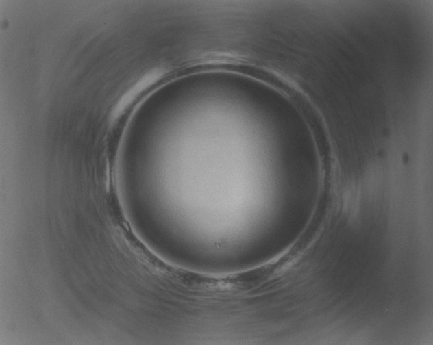 X0000052551317200507011120