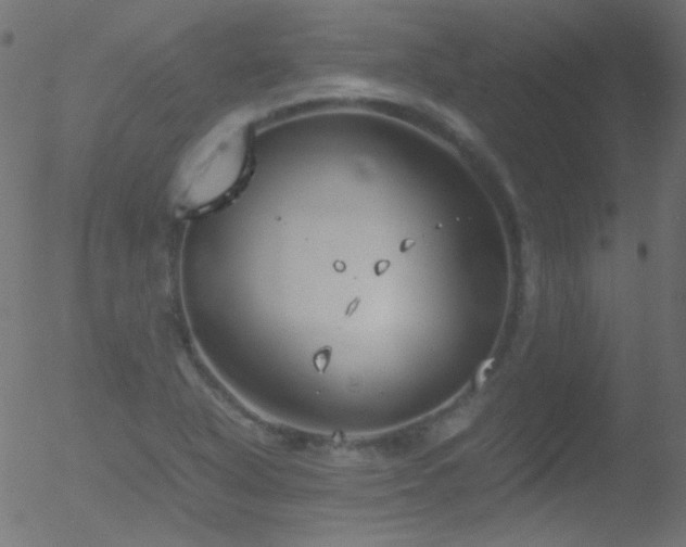 X0000052551318200507011120