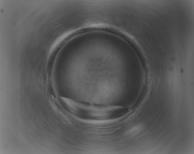 X0000052551319200507011120