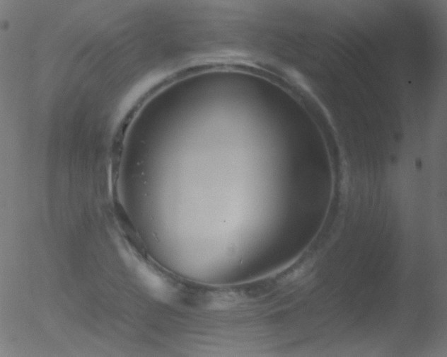 X0000052551320200507011120