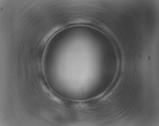 X0000052551321200507011120