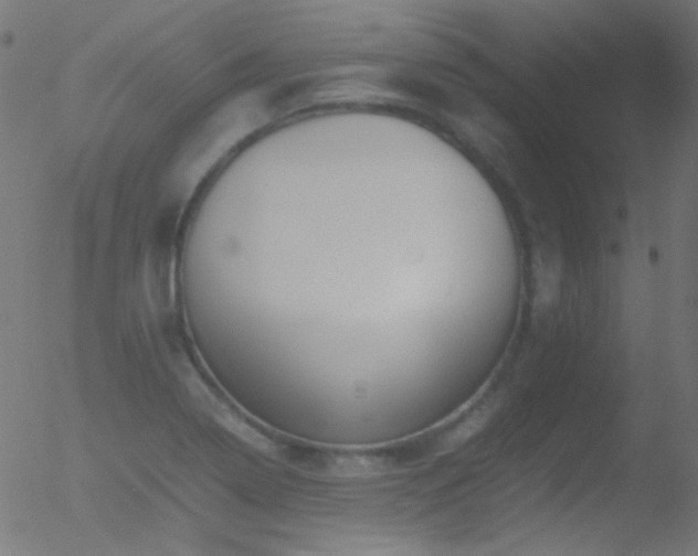 X0000052551322200507011120