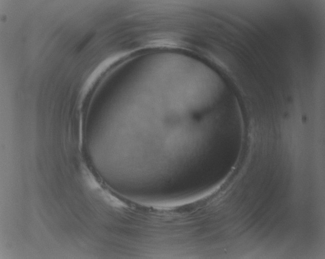 X0000052551323200507011120