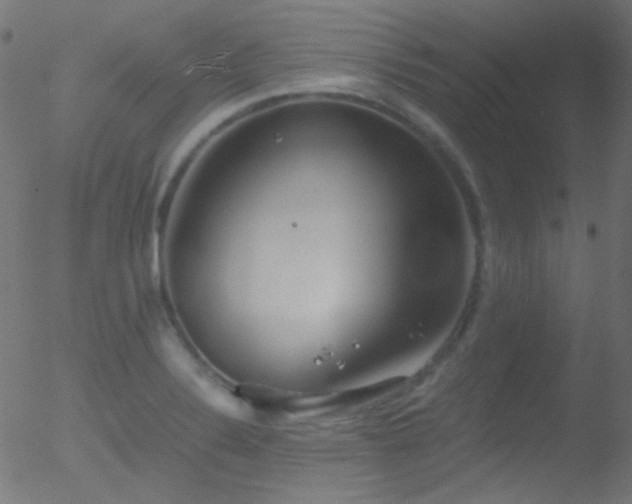 X0000052551324200507011120