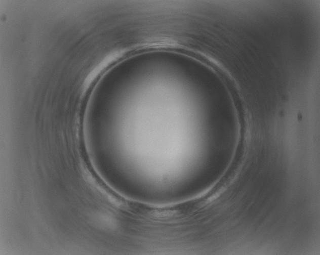 X0000052551325200507011120