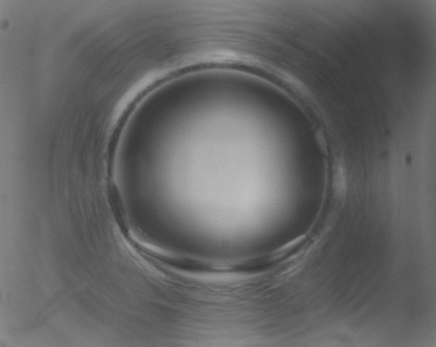 X0000052551326200507011120