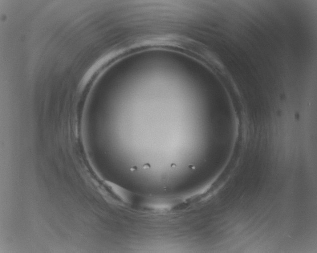 X0000052551328200507011120