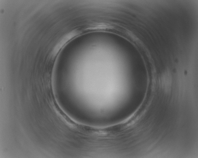 X0000052551329200507011120