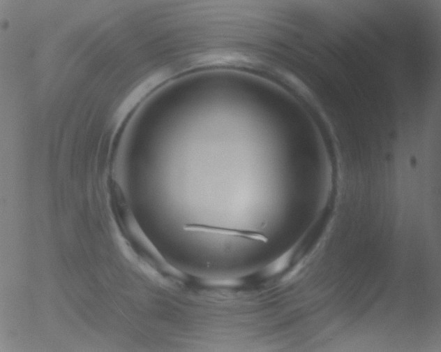 X0000052551330200507011120