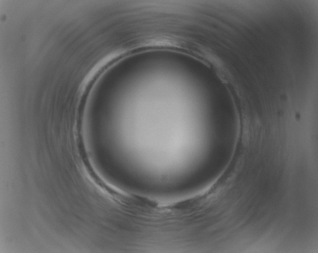 X0000052551331200507011121