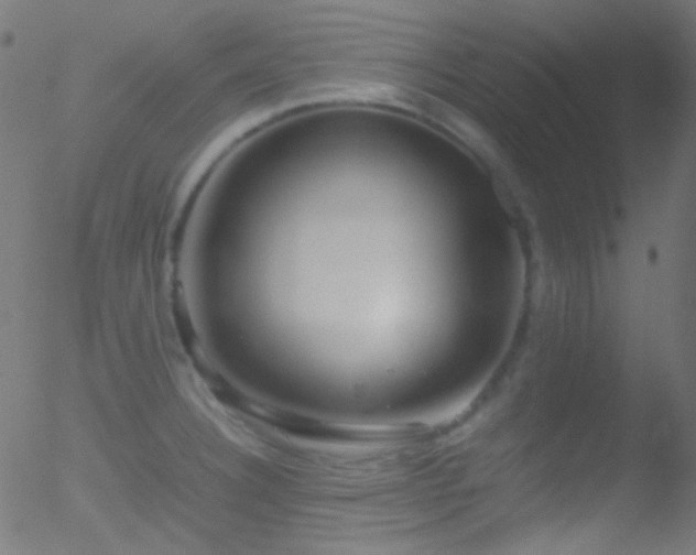 X0000052551332200507011121