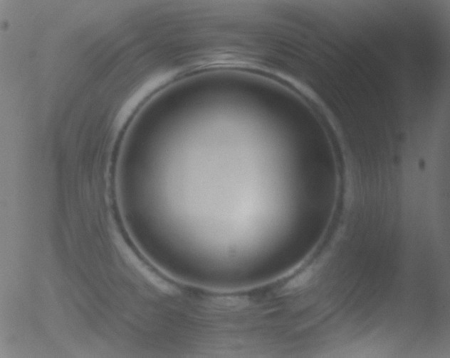 X0000052551333200507011121