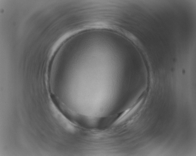 X0000052551334200507011121