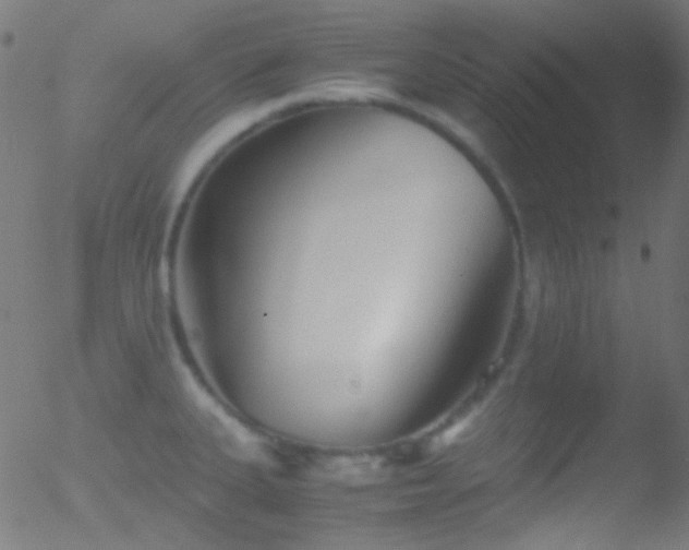 X0000052551335200507011121