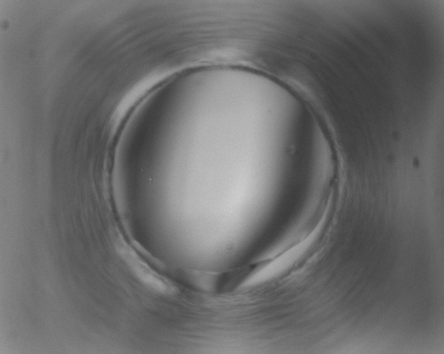 X0000052551336200507011121