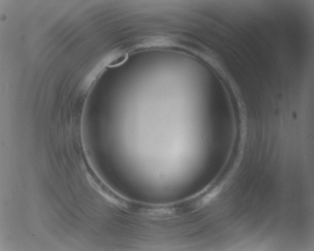 X0000052551337200507011121