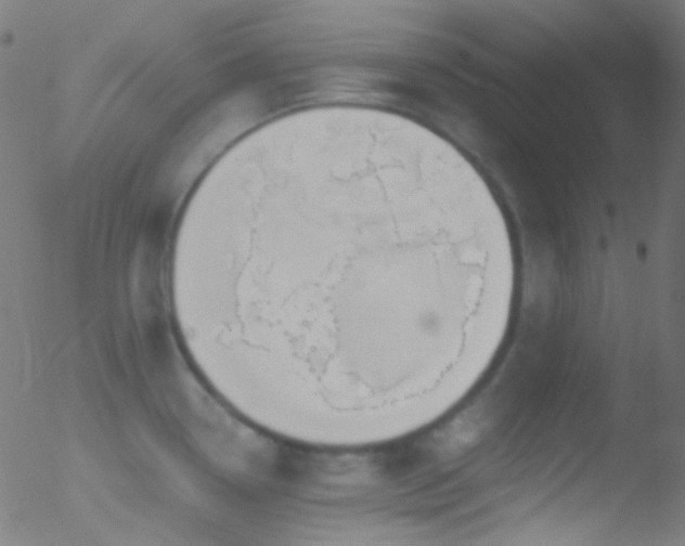 X0000052551338200507011121