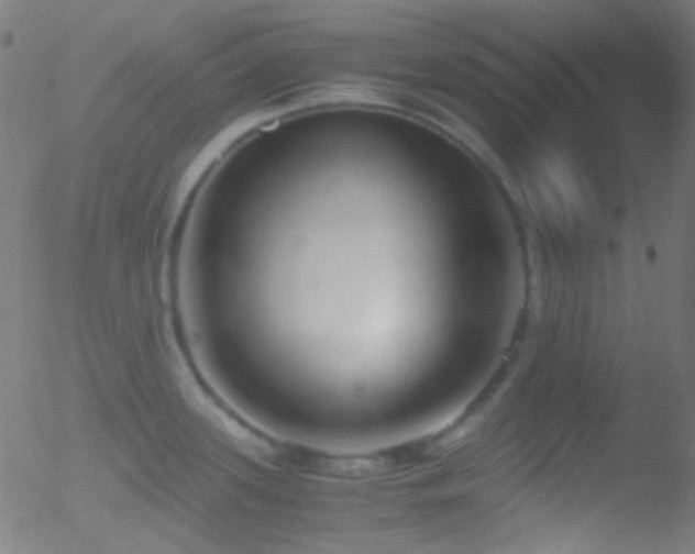 X0000052551339200507011121